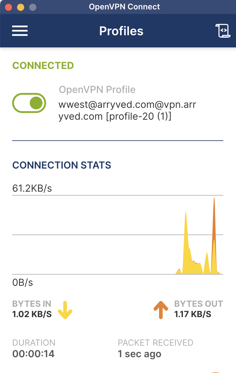 Verify VPN Traffic